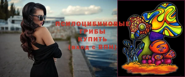 крисы Вяземский