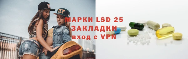 ГАЛЛЮЦИНОГЕННЫЕ ГРИБЫ Вязьма
