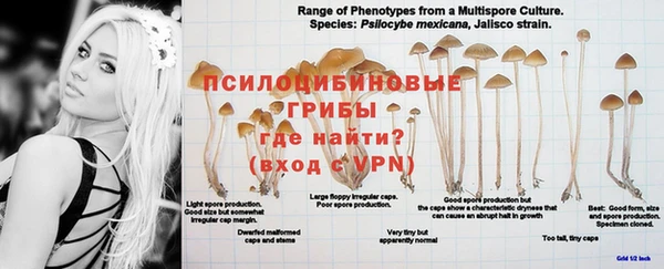 крисы Волосово