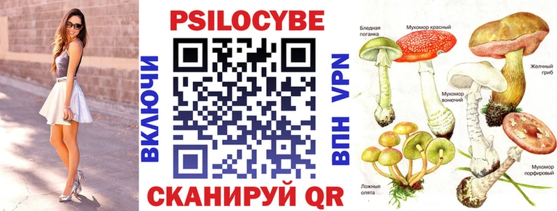 Галлюциногенные грибы Psilocybine cubensis  Златоуст 